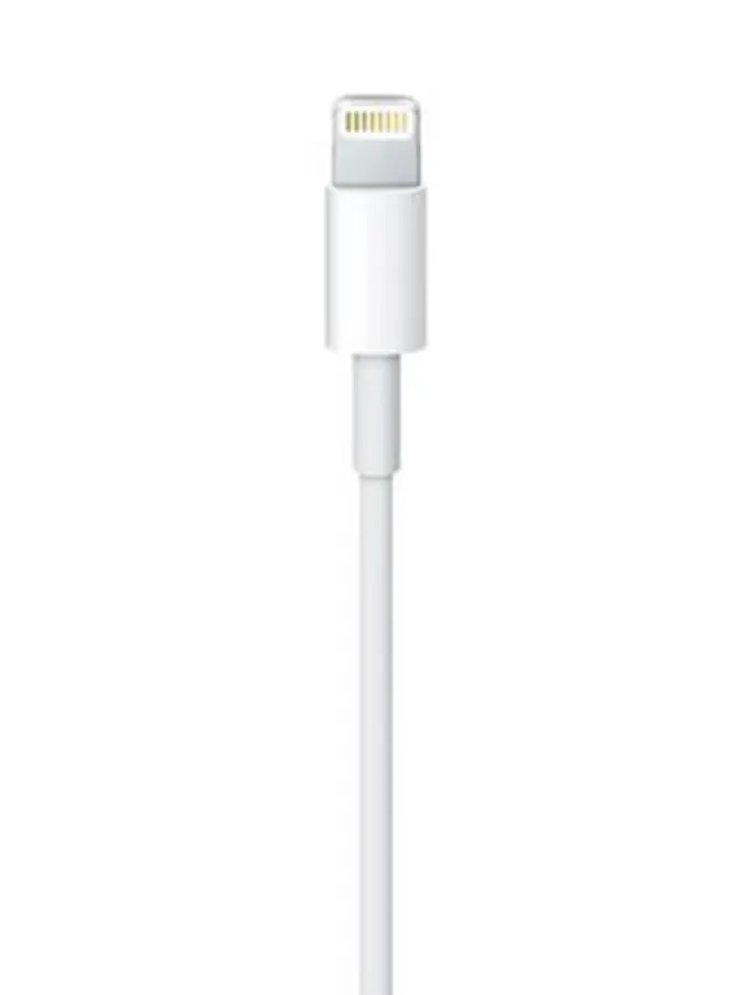 Apple EarPods with Lightning Connector Wired via Lightning Connector (8-pin)